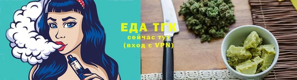 СК Бородино