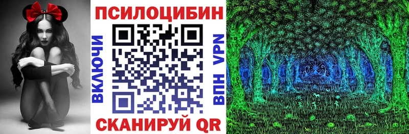 Купить закладки  Красноуфимск  Галлюциногенные грибы мухоморы 